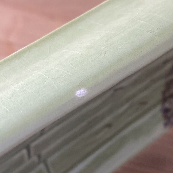 Bordallo Pinheiro Asparagus Plate Vtg Green Serving Tray Platter Portugal 12" - Picture 7 of 8